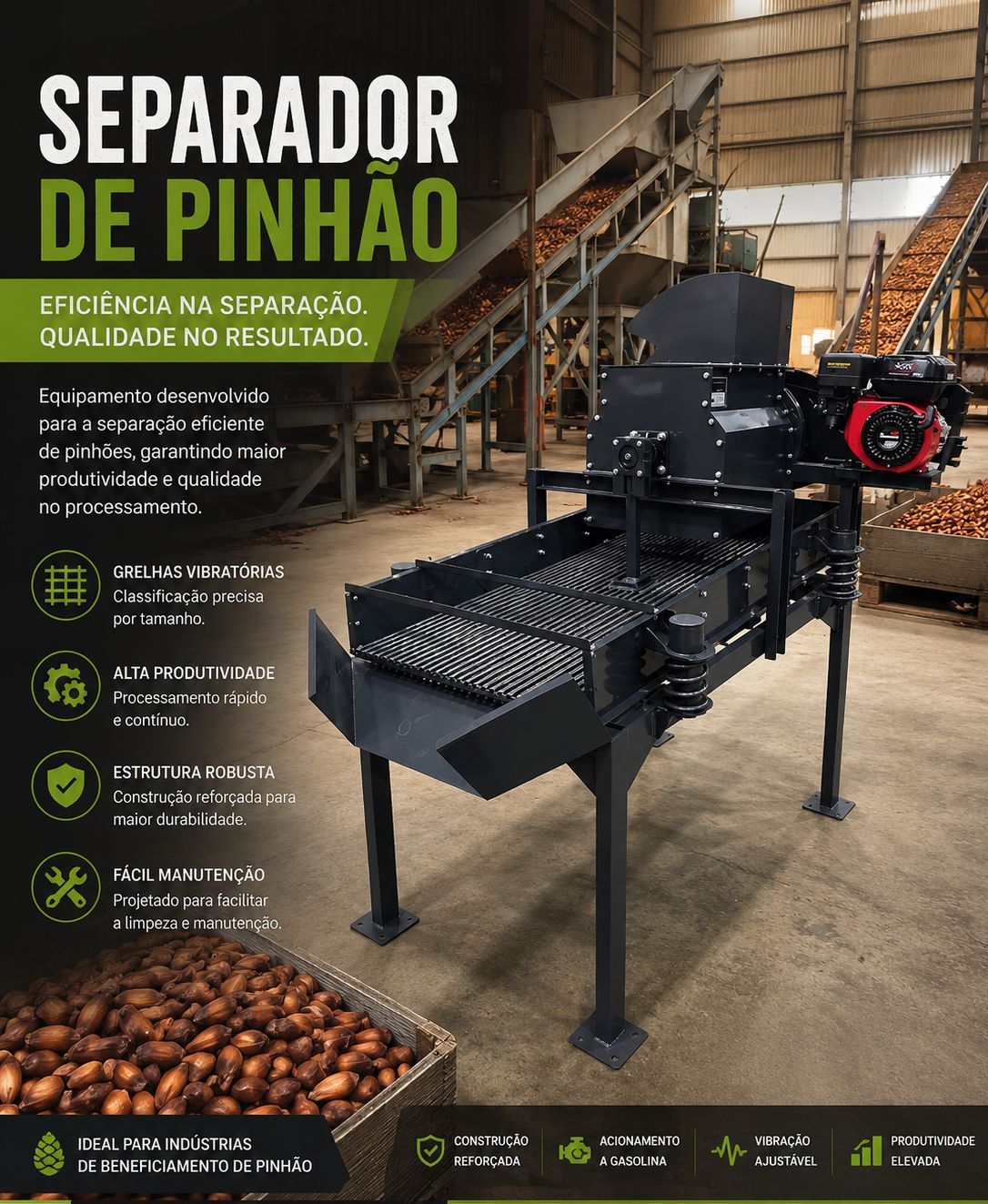 Separador de pinhão